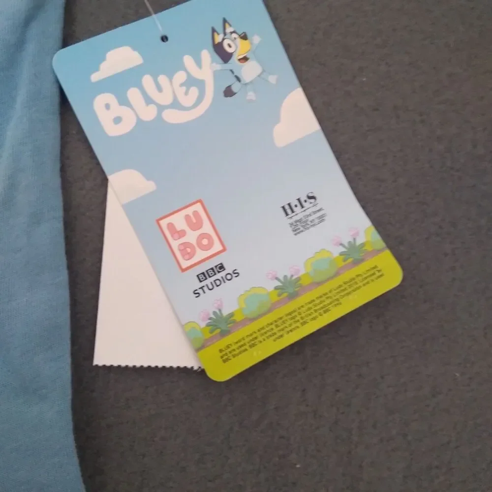 Bluey Dog Outfit Size 18m Shirt Pants Bingo Heart Valentines Kisses BBC Cartoon
